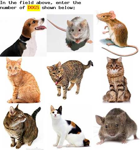 captcha to verify human, not robot